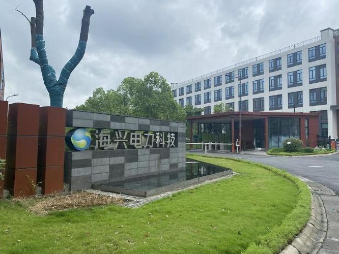 杭州海兴电力科技股份 数码科技领域内技术开发的创新先锋